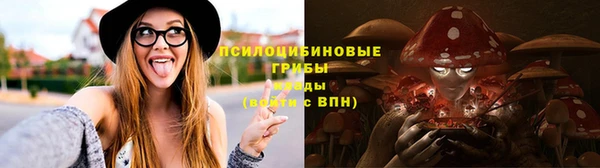ПСИЛОЦИБИНОВЫЕ ГРИБЫ Арсеньев