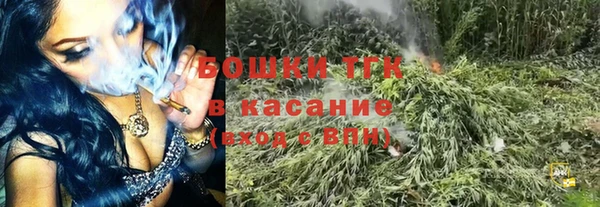 ПСИЛОЦИБИНОВЫЕ ГРИБЫ Арсеньев