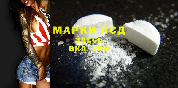 ПСИЛОЦИБИНОВЫЕ ГРИБЫ Арсеньев