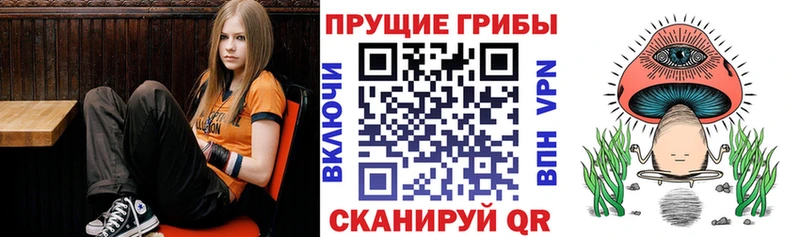 Псилоцибиновые грибы Cubensis  купить наркотики цена  mega ONION  Изобильный 